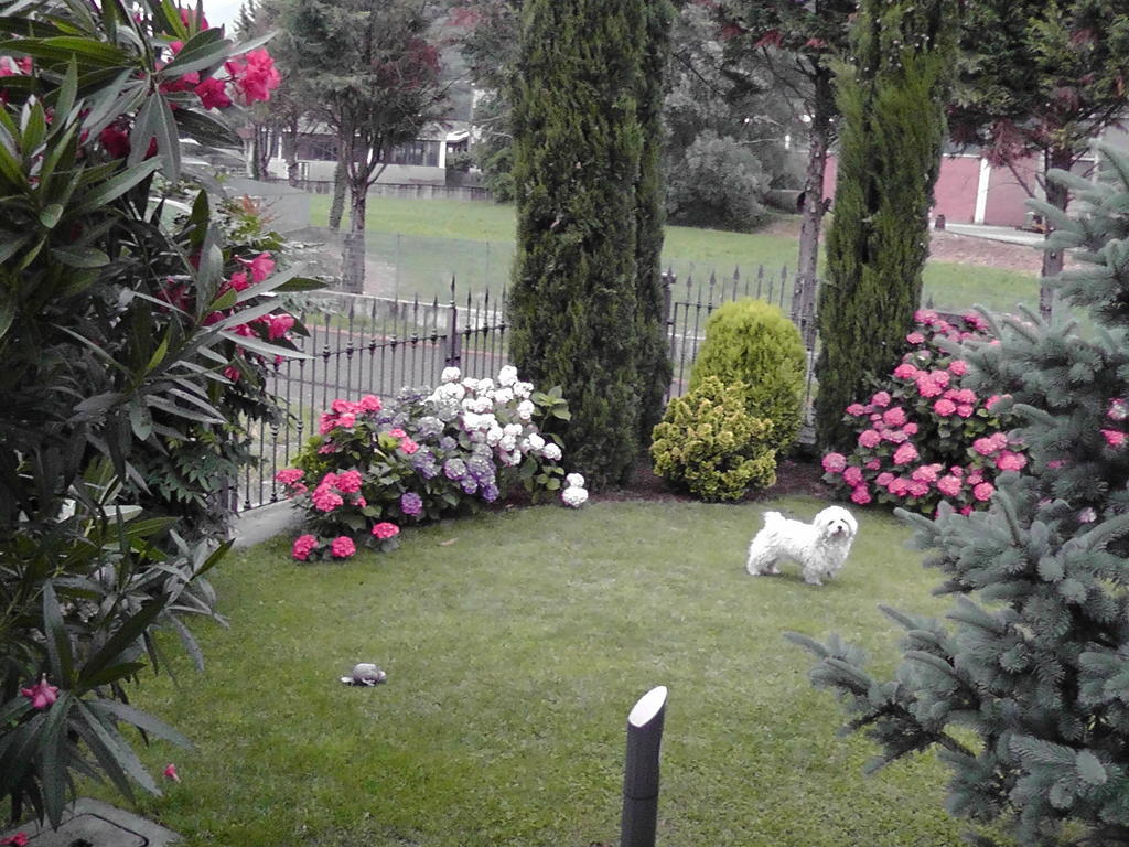 B&B I Viandanti Piancogno Екстериор снимка